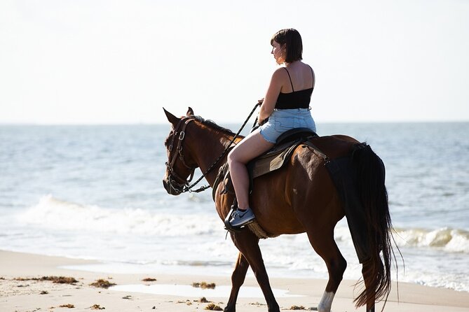Horse Riding on the beach With Transfer From Sharm El Sheikh - Choosing the desert ride