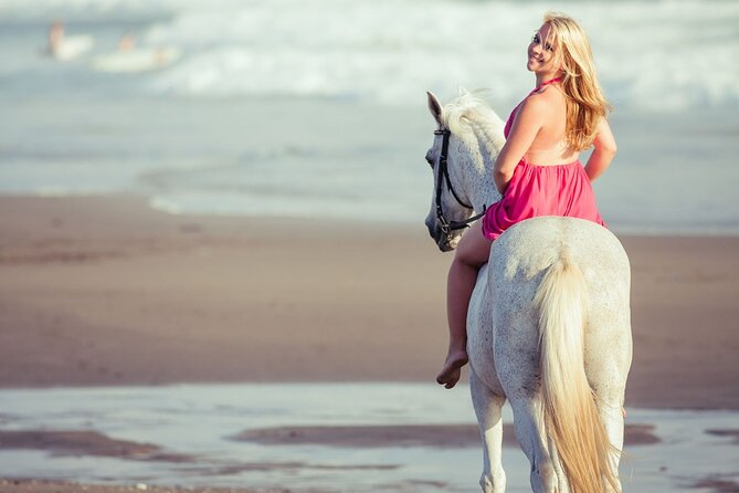 Horse Riding on the beach With Transfer From Sharm El Sheikh - What one hour feels like in the saddle