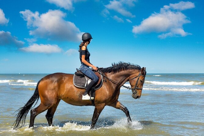 Horse Riding on the beach With Transfer From Sharm El Sheikh - Why the two-hour choice may be worth it