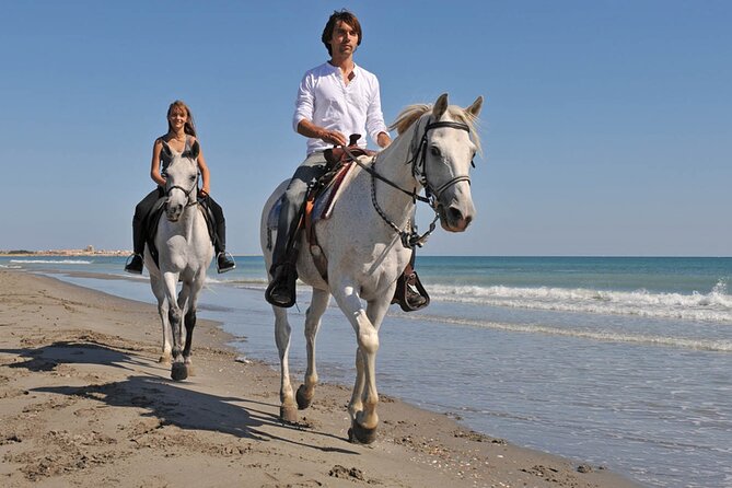 Horse Riding on the beach With Transfer From Sharm El Sheikh - The safety talk comes first