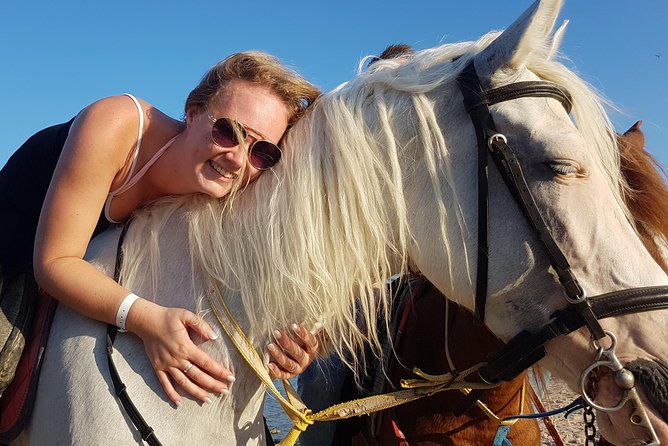 Horse Riding Tour 2 Hours on Sea And Desert & Transfer -Hurghada - Key points to know before you book