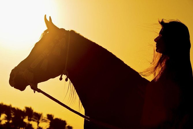 Horse Riding Tour 2 Hours on Sea And Desert & Transfer -Hurghada - The desert hour: open space and a faster pace