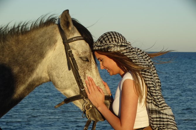 Horse Riding Tour 2 Hours on Sea And Desert & Transfer -Hurghada - Guides, safety, and the human side of the outing