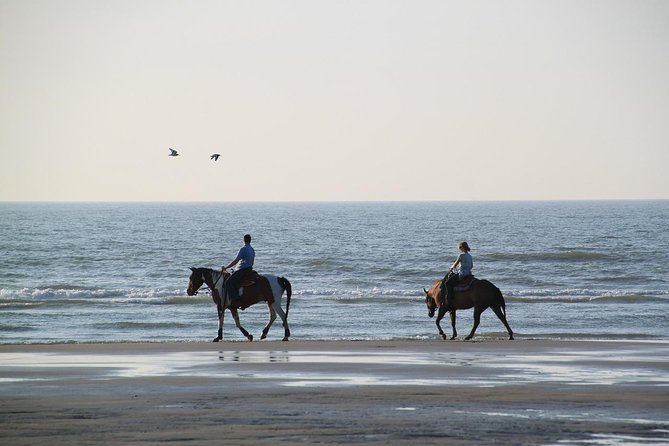 Horse Riding Tour 2 Hours Sea And Desert with Transfer - Hurghada - From Hurghada hotel to desert riding yard