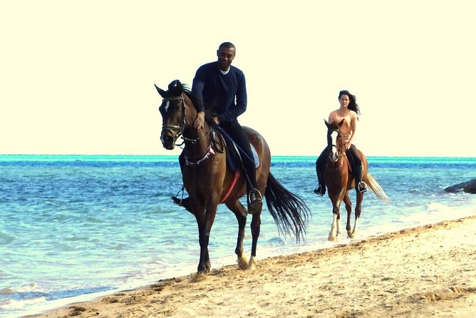 Horse Riding Tour 2 Hours Sea And Desert with Transfer - Hurghada - The unusual sea ride near Hurghada