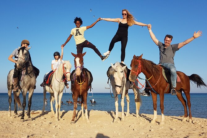 Horse Riding Tour 2 Hours Sea And Desert with Transfer - Hurghada - Booking, cancellation, and practical planning