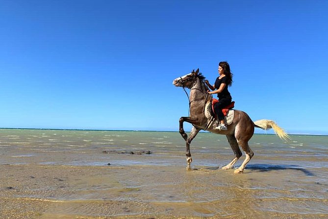 Horse Riding Tour 2 Hours Sea And Desert with Transfer - Hurghada - Getting ready with a trainer and helmet