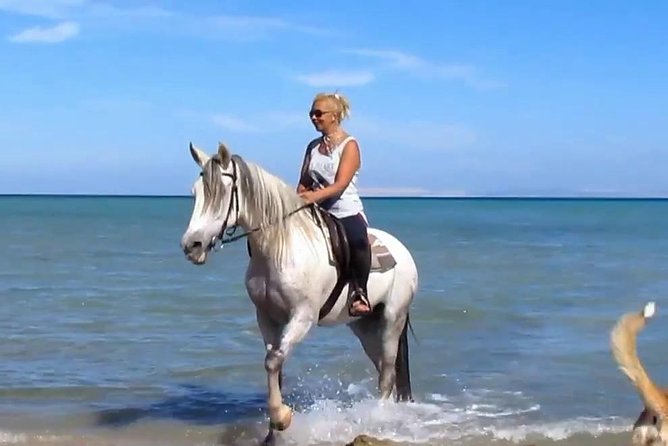 Horse Riding Tour Two Hours Sun & Sea With Transfer - Hurghada - Key points to know before booking