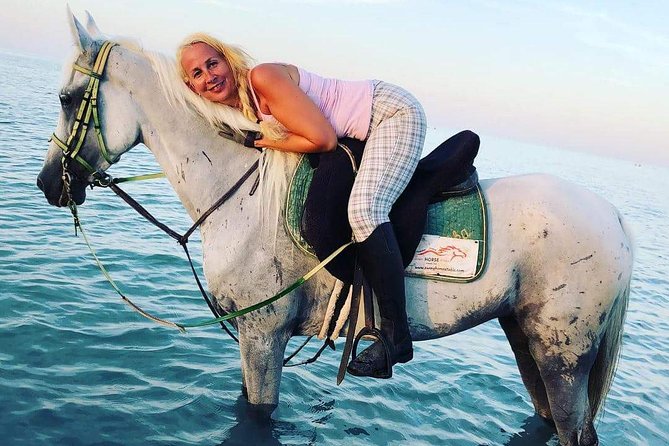 Horse Riding Tour Two Hours Sun & Sea With Transfer - Hurghada - Meeting your horse and getting basic instruction