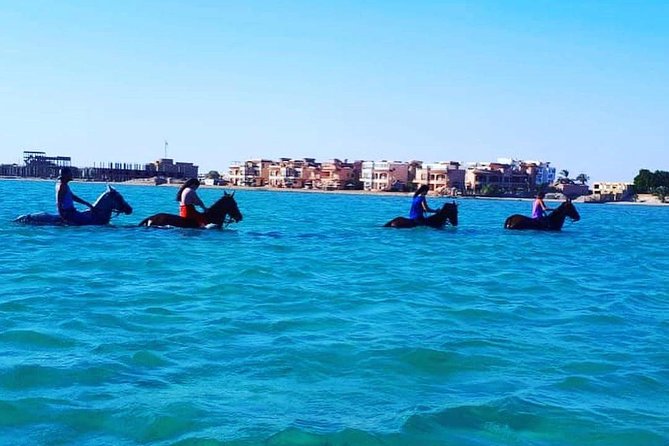 Horse Riding Tour Two Hours Sun & Sea With Transfer - Hurghada - The second hour: horseback riding in the Red Sea