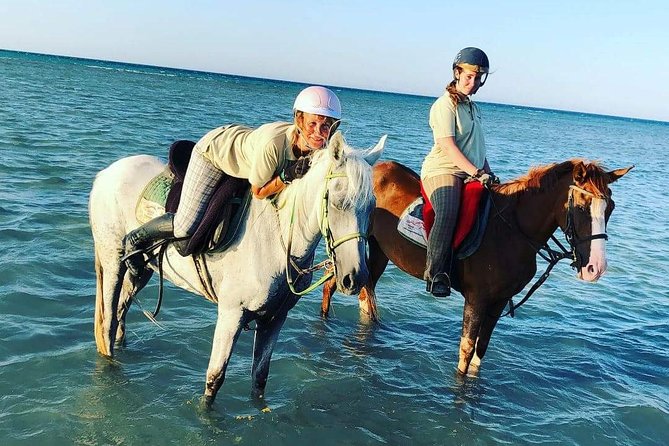 Horse Riding Tour Two Hours Sun & Sea With Transfer - Hurghada - Guides, group size, and the feel of the outing