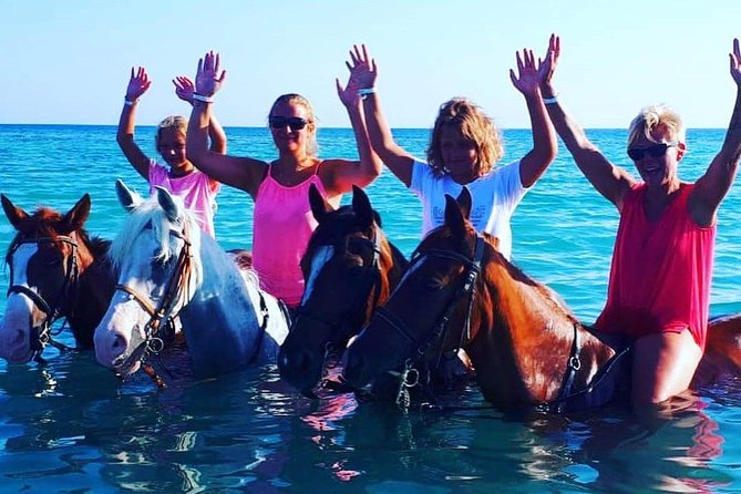 Horse Riding Tour Two Hours Sun & Sea With Transfer - Hurghada - What the $15 price really includes