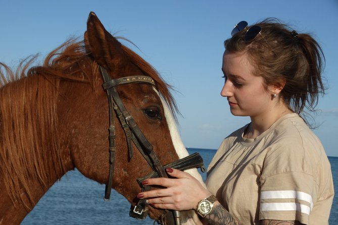 Horse Riding Tour Two Hours Sun & Sea With Transfer - Hurghada - Who will enjoy this most