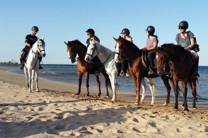 Horseback Riding with Pickup and Drop-off from Sharm El Sheikh - Heat, Comfort, and Practical Clothing