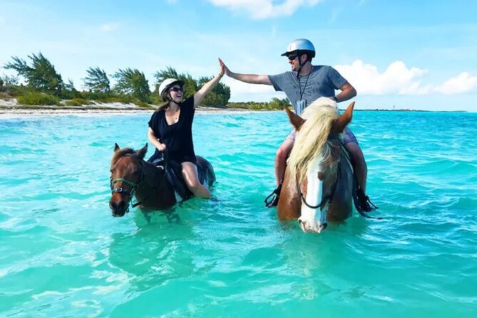 Horseback Riding with Pickup and Drop-off from Sharm El Sheikh - Horse Care and the Quality of the Setup