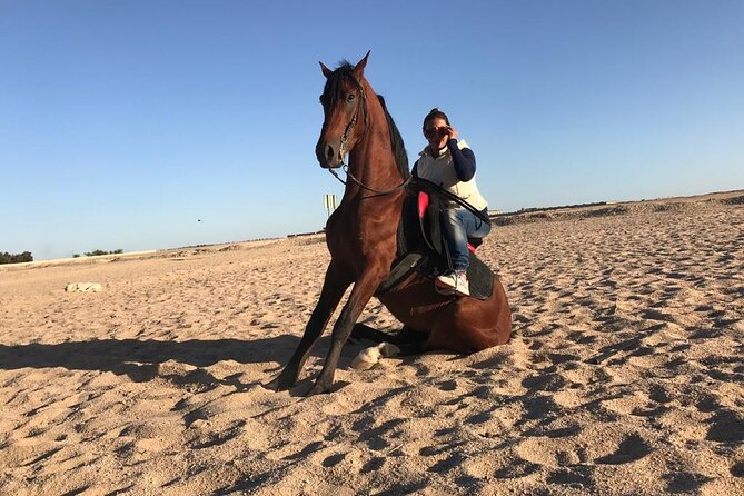 Horseback Riding with Pickup and Drop-off from Sharm El Sheikh - The Two-Hour Route Along Beach and Desert