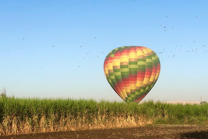 Hot Air Balloon Ride in Luxor Egypt with Transfers Included - Landing is the part you should take seriously