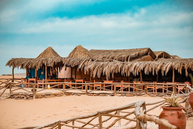 Hula Hula Island Snorkeling Sea Trip With Lunch - Hurghada - Snorkeling with equipment and a guide