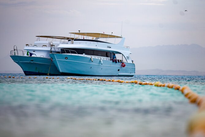 Hula Hula Island Snorkeling Sea Trip With Lunch - Hurghada - How the group size affects the day