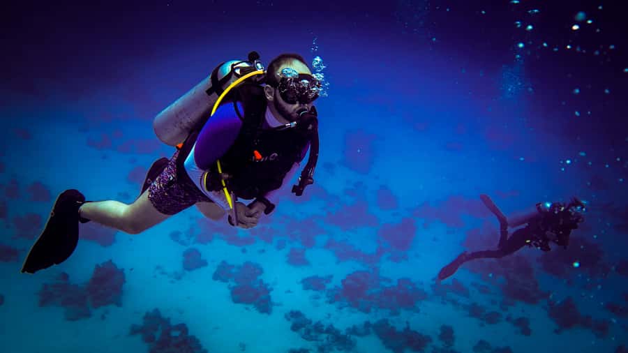 Hurghada: 1, 2, 3, 4, or, 5-Day Scuba Diving Package - Key points to know before booking