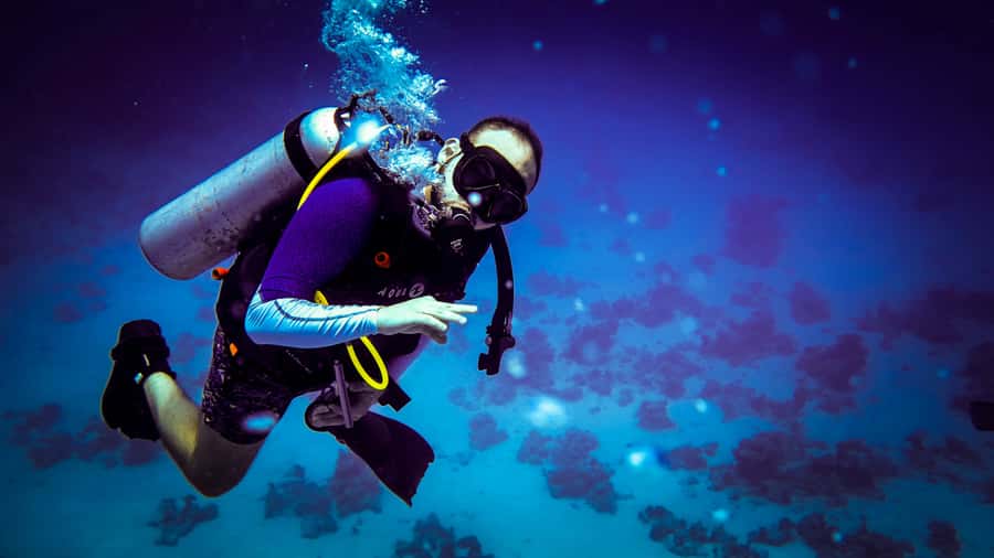 Hurghada: 1, 2, 3, 4, or, 5-Day Scuba Diving Package - Practical ways to improve your day