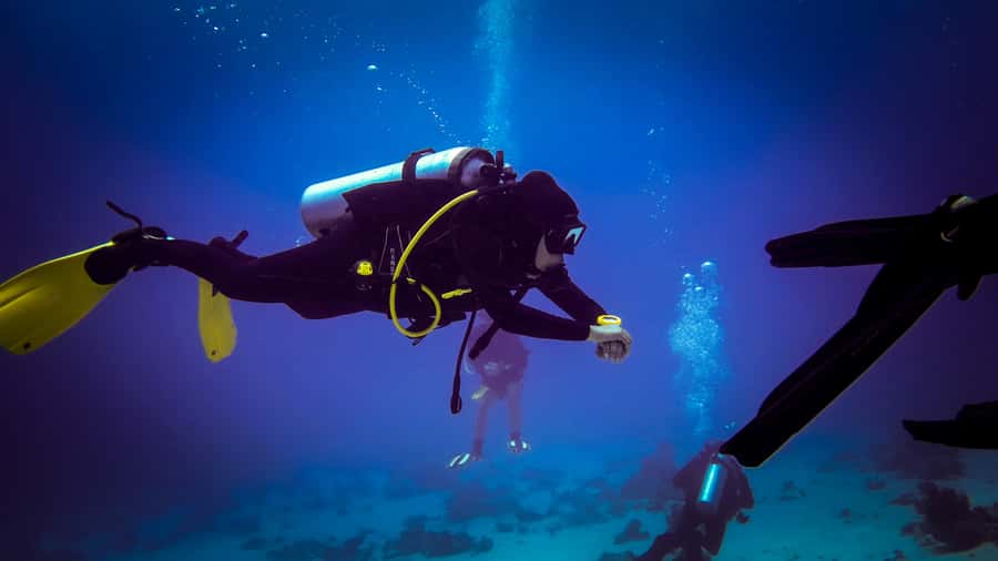 Hurghada: 1, 2, 3, 4, or, 5-Day Scuba Diving Package - From your Hurghada hotel to the Red Sea