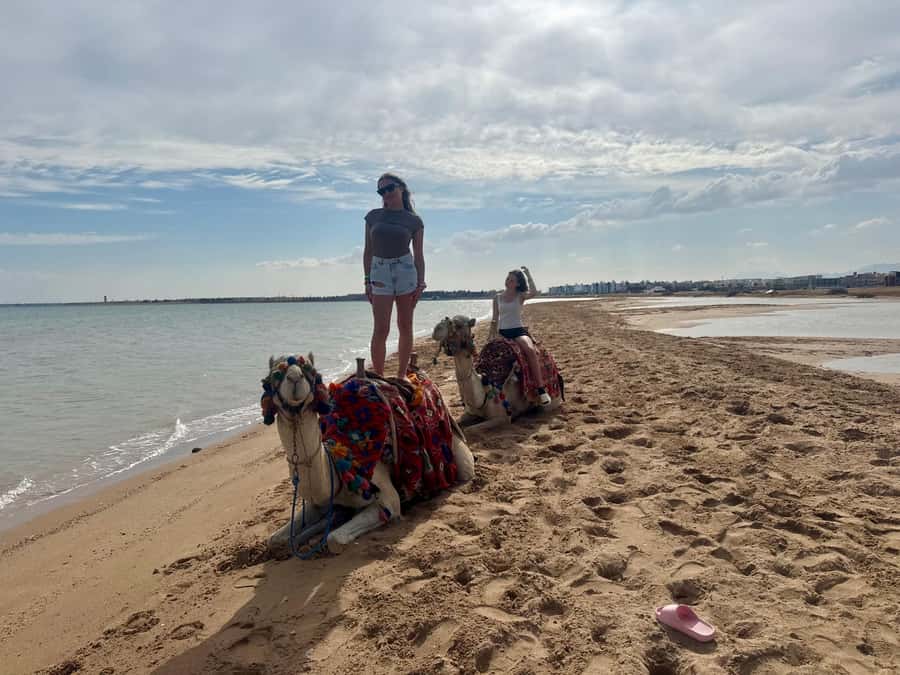 Hurghada: 1-Hour Desert & Beach Camel Ride with Transfers - Booking details that matter
