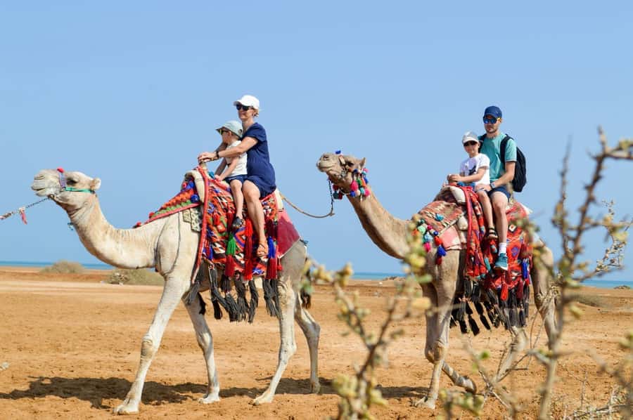 Hurghada: 1-Hour Desert & Beach Camel Ride with Transfers - What the guides add to the ride