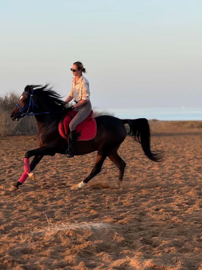 Hurghada: 1-Hour Desert & Beach Camel Ride with Transfers - A simple schedule, with room for stable time