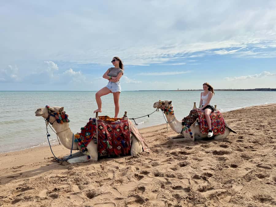 Hurghada: 1-Hour Desert & Beach Camel Ride with Transfers - What the high rating tells you, and what it does not