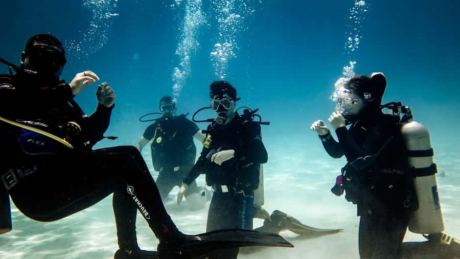 Hurghada: 3-Day PADI Open Water Diving Course - Day two: practice becomes more natural