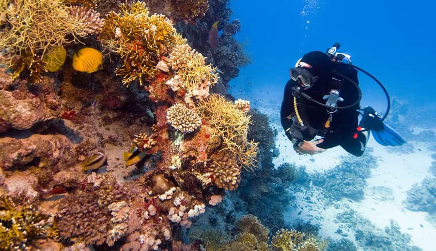 Hurghada: 3-Day PADI Open Water Diving Course - Day three: final skills, confidence, and certification
