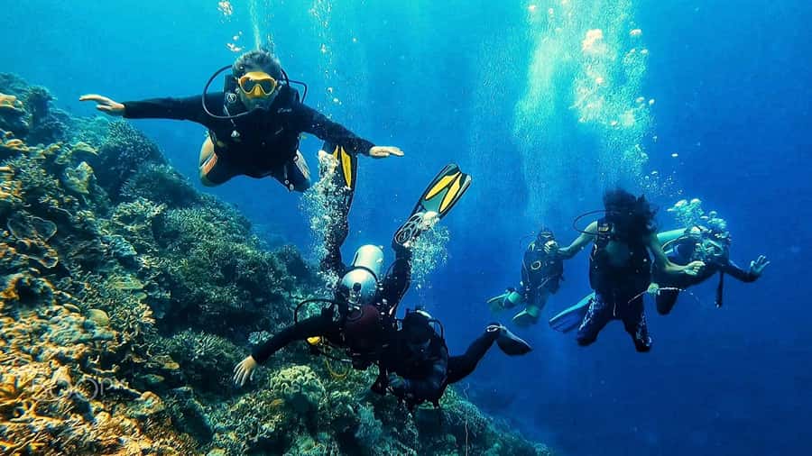 Hurghada: 3-Day PADI Open Water Diving Course - Day one: theory, equipment, and first underwater skills
