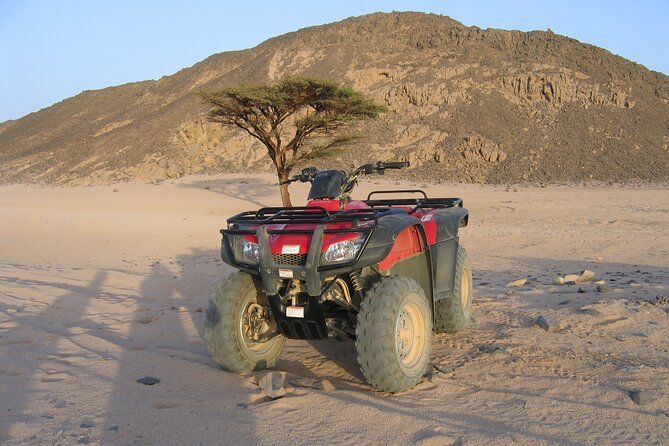 Hurghada: 3 Hours Quad Bike & Camel ride - From Hurghada hotel to the desert track