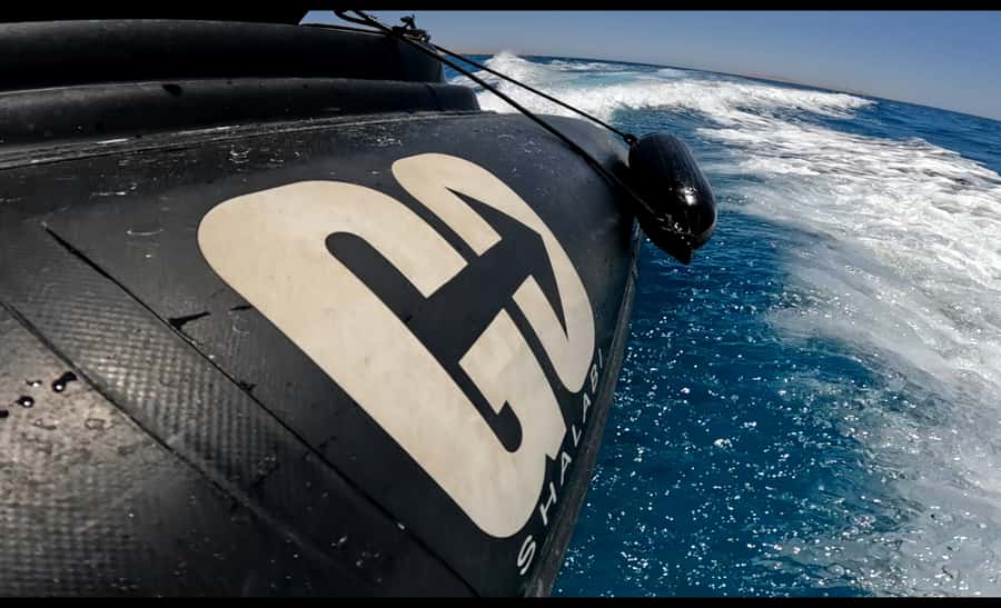 Hurghada: 3-Island Speedboat, Dolphin Watching & Snorkeling - Who will get the most from this day