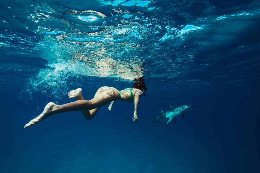 Hurghada: All-Inclusive Elite VIP Dolphin House & Massage - Why this Hurghada cruise is good value at $45