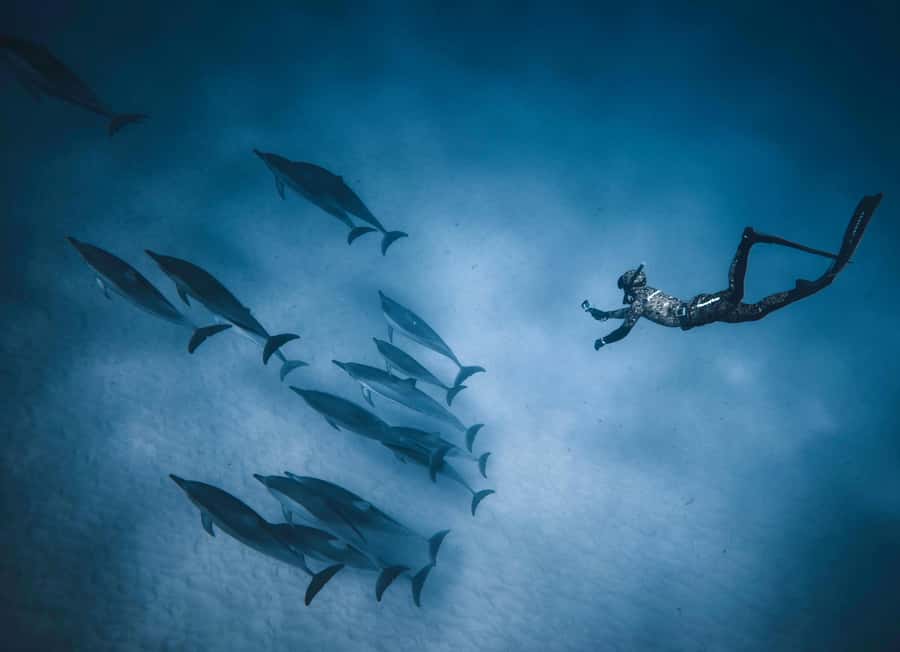 Hurghada: All-Inclusive Elite VIP Dolphin House & Massage - Second reef stop and more time in the water