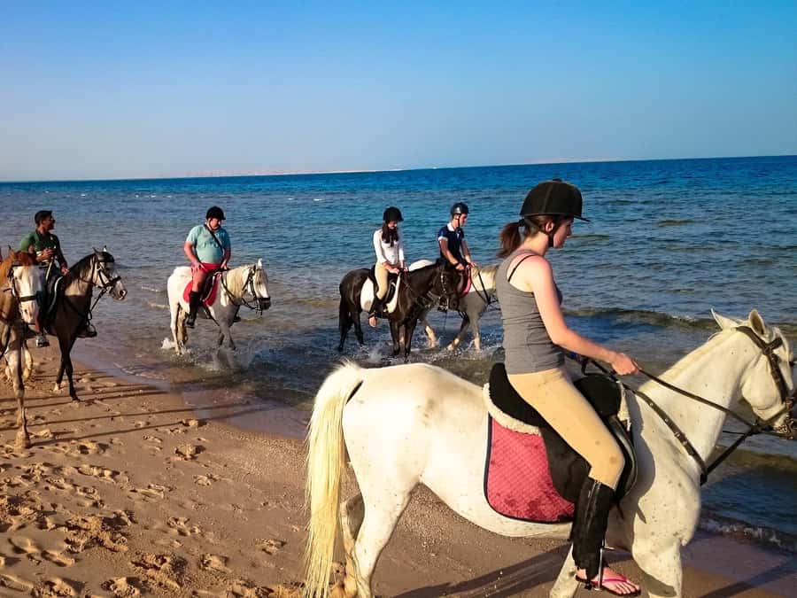 Hurghada: Arabian Desert and Sea Horseback Adventure - Choosing between sunrise, afternoon, and sunset