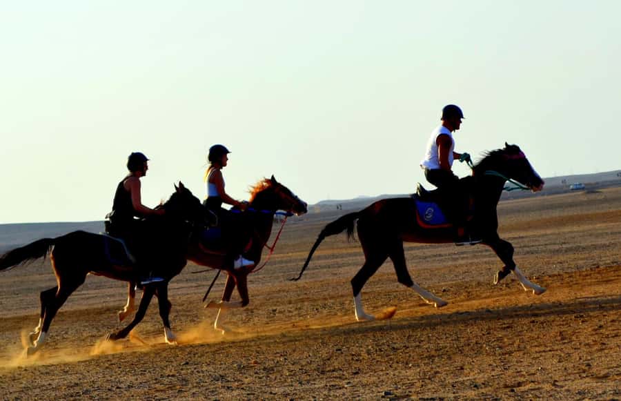 Hurghada: Arabian Desert and Sea Horseback Adventure - The VIP four-hour ride and horse swimming