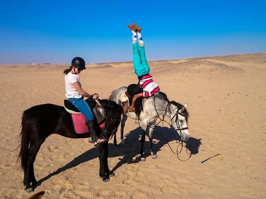 Hurghada: Arabian Desert and Sea Horseback Adventure - How safe and beginner-friendly is the ride?