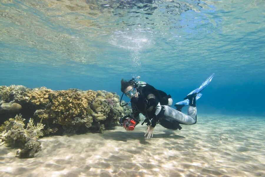 Hurghada: Beginners Scuba Diving Full-Day Boat Trip & Lunch - Snorkeling between the scuba stops