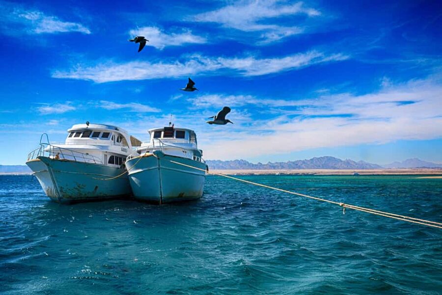 Hurghada: Beginners Scuba Diving Full-Day Boat Trip & Lunch - Who should book this experience?
