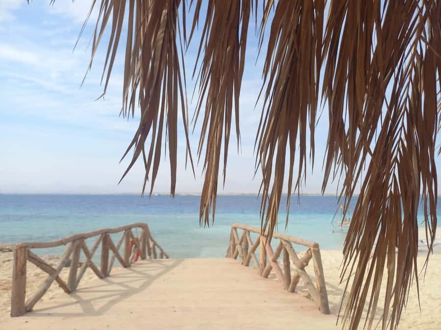 Hurghada: Boat trip to Magawish island with Multi Options - Key points before you book