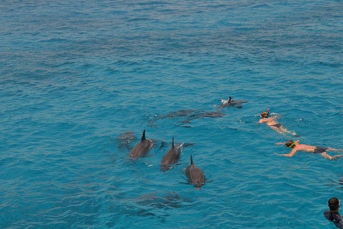 Hurghada Boat Trip to See Dolphins With Snorkeling and Lunch - Lunch on the boat balcony