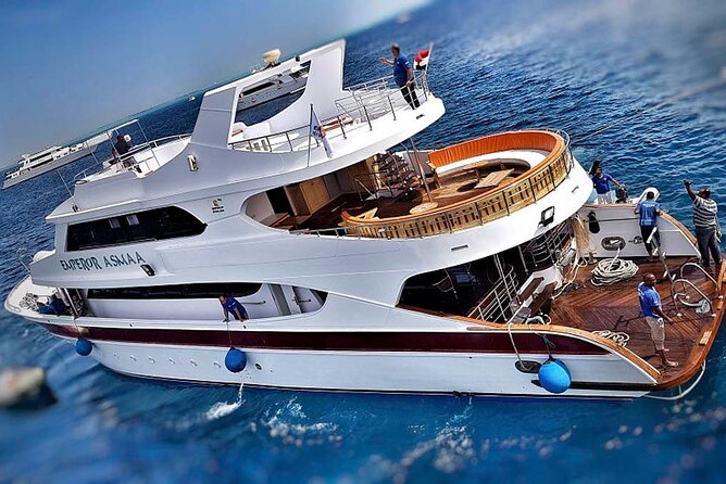 Hurghada Boat Trip to See Dolphins With Snorkeling and Lunch - An 8:00 am start from your Hurghada hotel