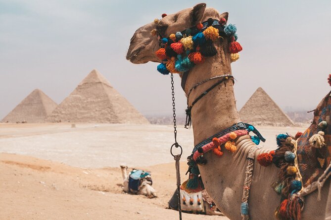 Hurghada: Cairo and Giza Highlights by mini Van with BBQ Lunch - Why this Hurghada to Cairo trip makes sense