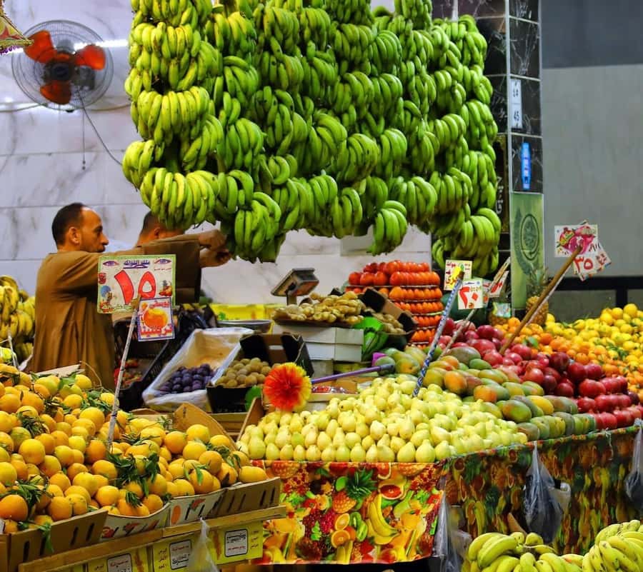 Hurghada: City Guided Tour with Local Market Stop - Hurghada Marina: the polished waterfront