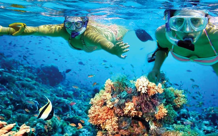 Hurghada: Day Snorkeling with Dolphins - What the $42 Price Really Buys You