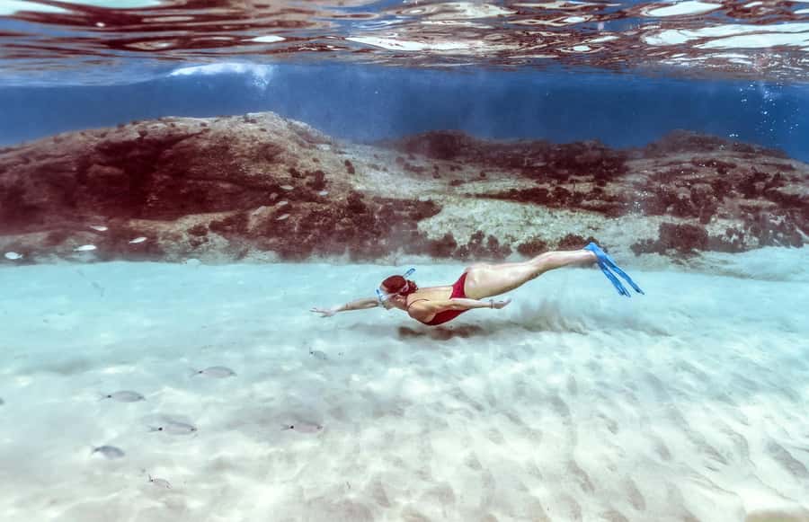 Hurghada: Day Snorkeling with Dolphins - Snorkeling Over Coral and Fish