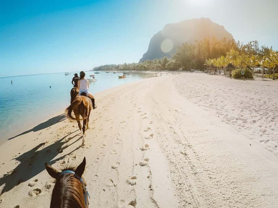 Hurghada: Desert and Sea Horseback Riding Tour with Transfer - Key points before you saddle up